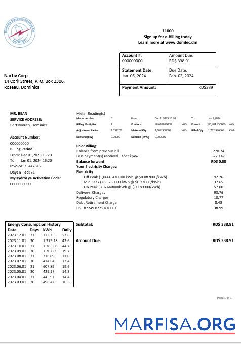 Realistic Dominica Electricity Services Limited electricity business utility bill word and pdf formats real example